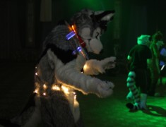 Eurofurence 17