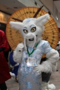 Eurofurence 17