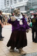 Eurofurence 17