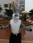 Eurofurence 17