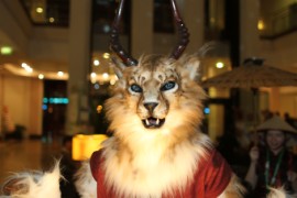 Eurofurence 17