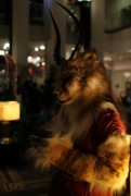 Eurofurence 17