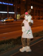 Eurofurence 17