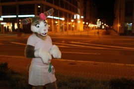 Eurofurence 17