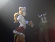 Eurofurence 17