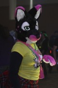 Eurofurence 17