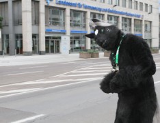 Eurofurence 17