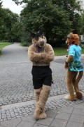 Eurofurence 17