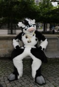 Eurofurence 17