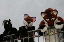 Eurofurence 17