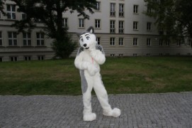 Eurofurence 17