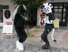 Eurofurence 17