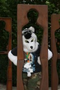 Eurofurence 17