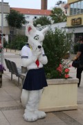 Eurofurence 17