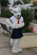 Eurofurence 17