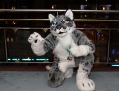 Eurofurence 17