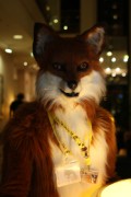 Eurofurence 17