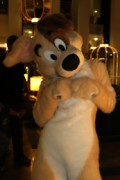 Eurofurence 17