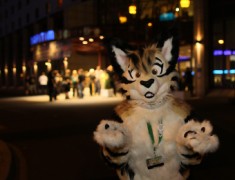 Eurofurence 18