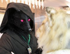 Eurofurence 18