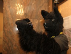 Eurofurence 18