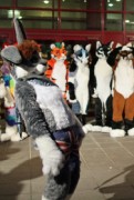 Eurofurence 18