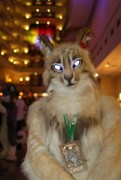 Eurofurence 19