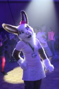 Eurofurence 19