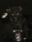 Eurofurence 19