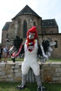 Eurofurence 19