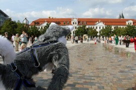 Eurofurence 19