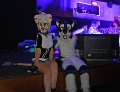 Eurofurence 19