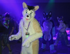 Eurofurence 19