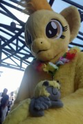 Eurofurence 19