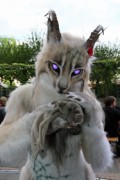 Eurofurence 19