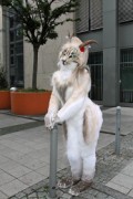 Eurofurence 19