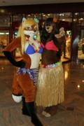 Eurofurence 19