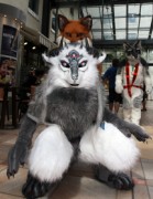 Eurofurence 20