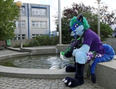 Eurofurence 20