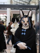 Eurofurence 20