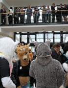 Eurofurence 20