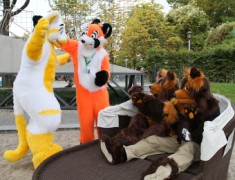 Eurofurence 20