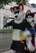 Eurofurence 20