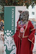 Eurofurence 20