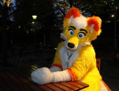 Eurofurence 20