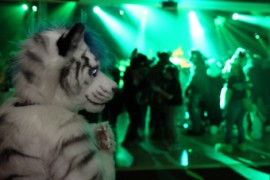 Eurofurence 20