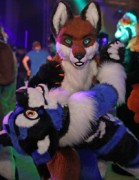 Eurofurence 20