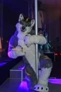 Eurofurence 20