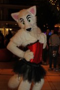 Eurofurence 20