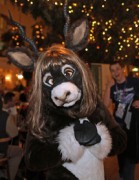 Eurofurence 20